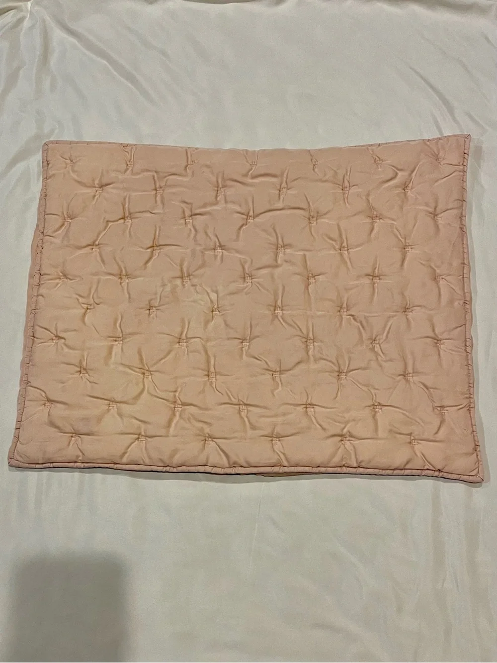 Pottery Barn Teen Soft Rose Amelia Tencel Twin Quilt & Standard Sham